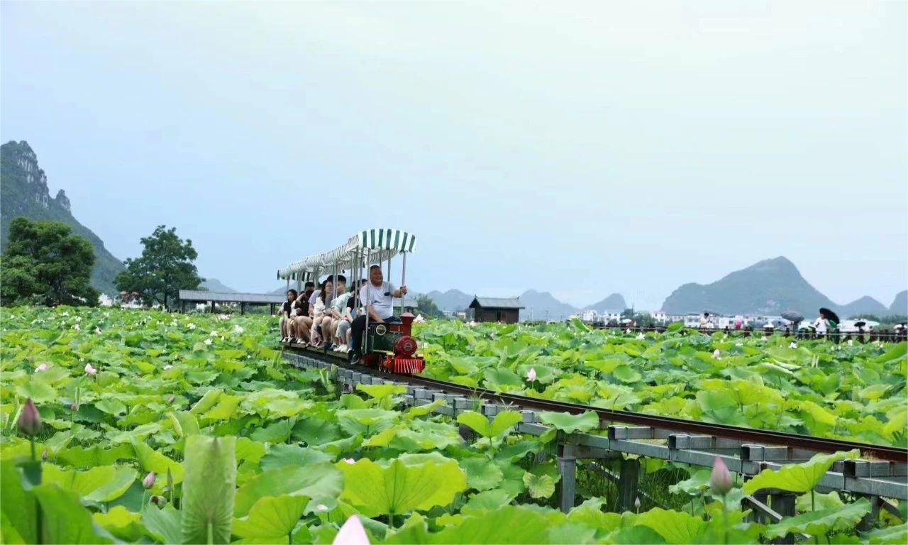 廣西壯族自治區(qū)柳州市柳江區(qū)百朋鎮(zhèn)懷洪村